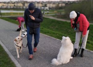 IMG_20230420_194135 — kopia